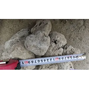 pumice