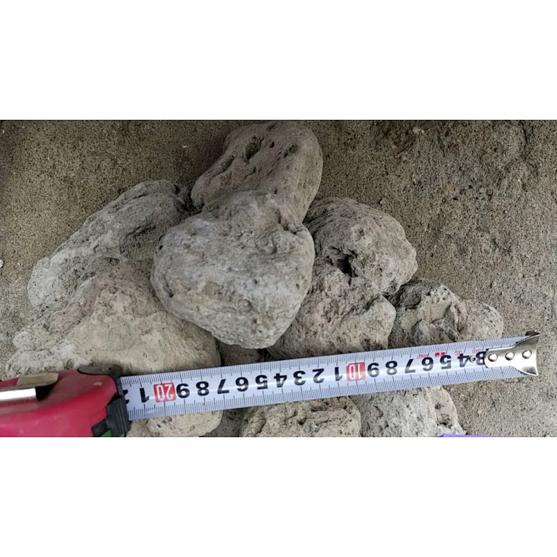 pumice