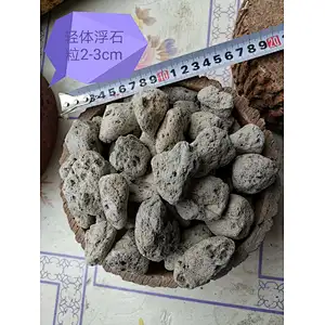 pumice