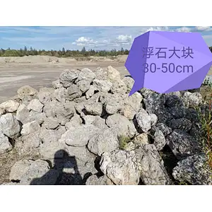 pumice