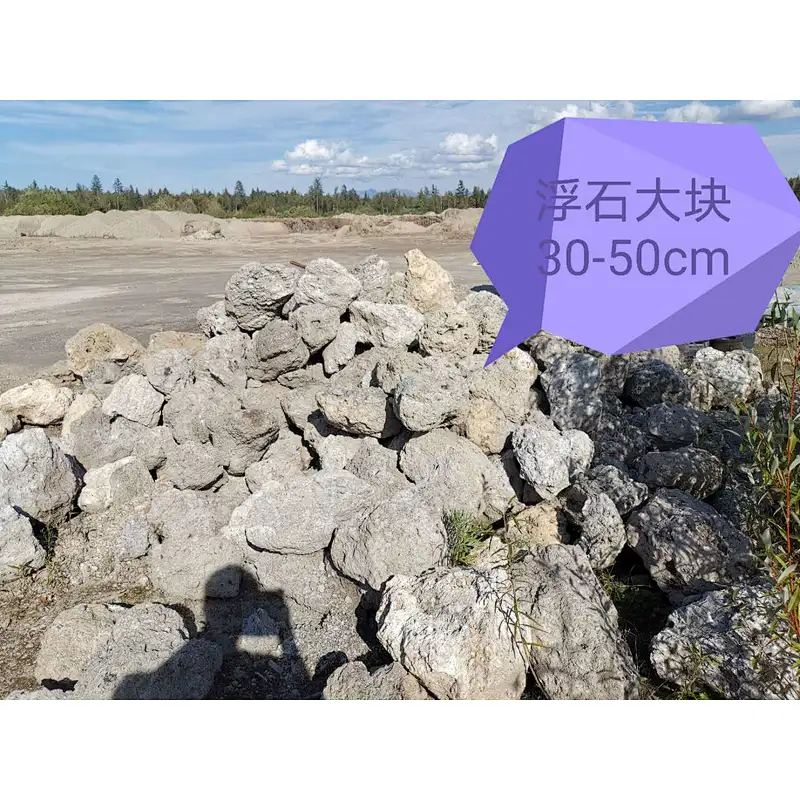 pumice