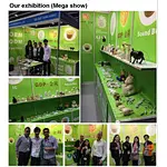 2019 Mega show
