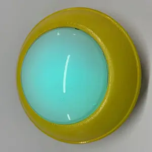 Led light and sound module for toys and doll