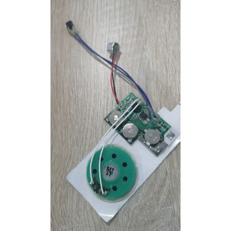IC Chip on board for educational book and plush toy