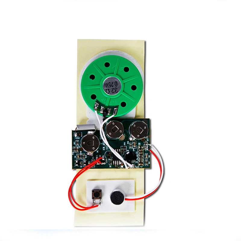 audio record birday  greeting card voice