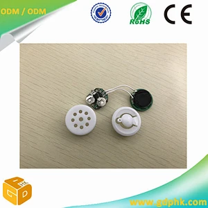 smallest Sound chip recorder/push button play