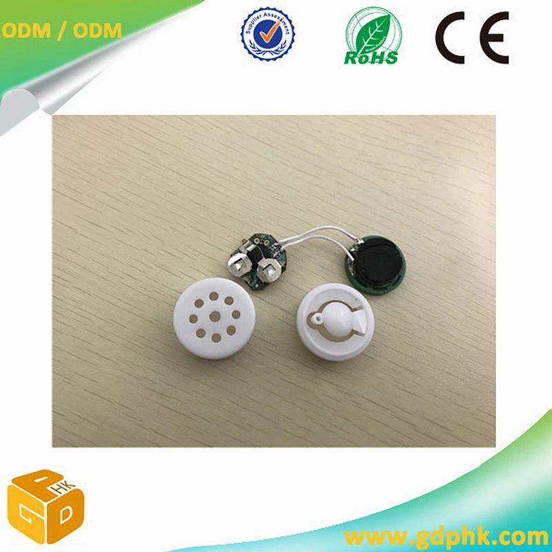smallest Sound chip recorder/push button play