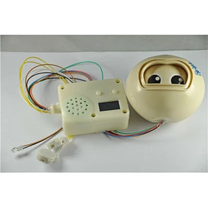 Music Singing Plush Toy of Unique Designs, with Customer Own Design and Sound Recording