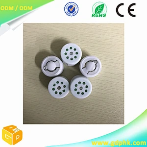 smallest Sound chip recorder/push button play