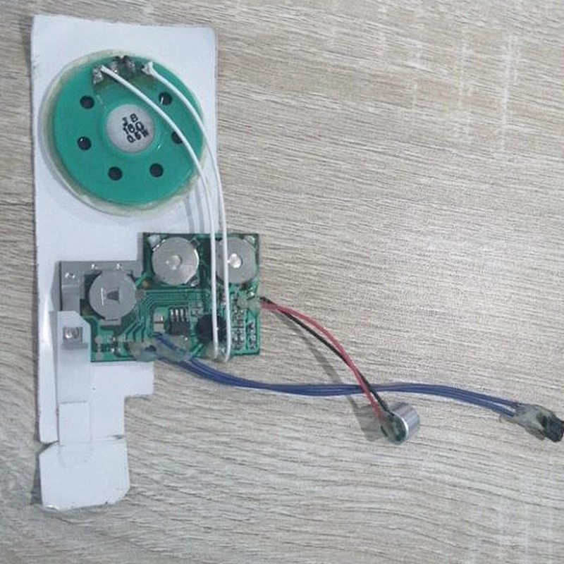 IC Chip on board for educational book and plush toy