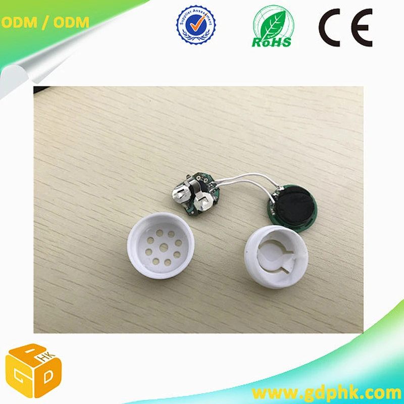 smallest Sound chip recorder/push button play