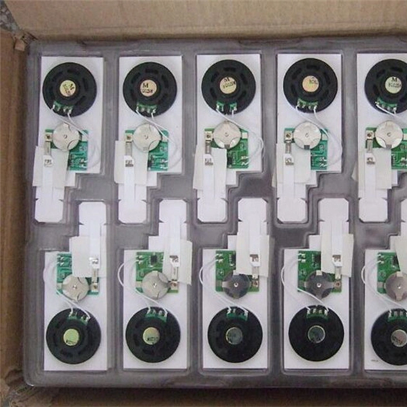 Programmable music chip sound box IC chip voice module programmable sound chip
