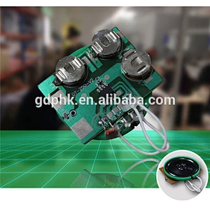Programmable voice recording ic chip / mini voice recorder chip for toys and cards