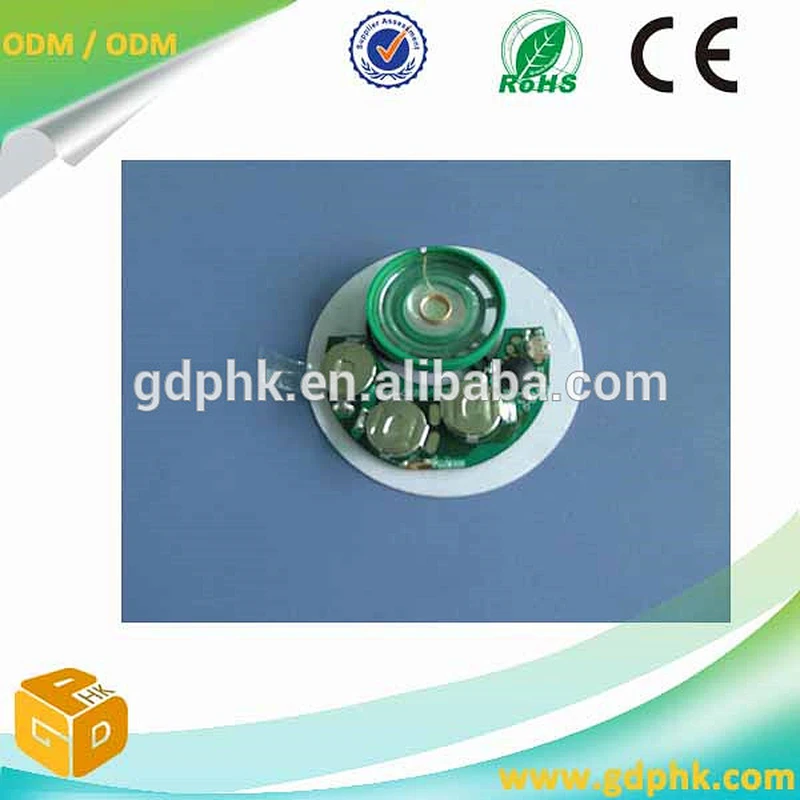 programmable musical chips for greeting cards micro hidden voice recorder toys sound chip