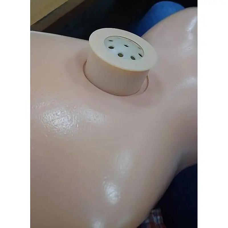 sound module for little pets toys and plastic toy animal