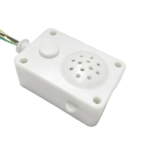 Recorder voice box electronic sound module box for toys and dolls