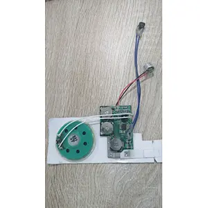 IC Chip on board for educational book and plush toy