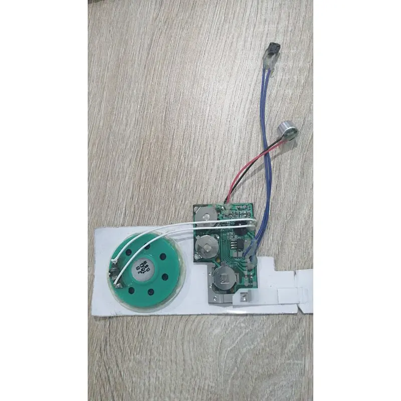 IC Chip on board for educational book and plush toy