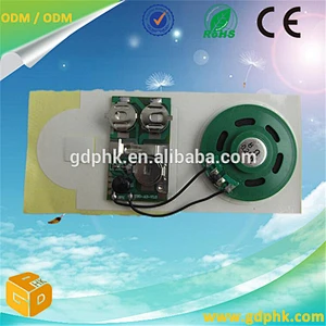 Programmable pre-recorded sound chip / greeting card music chip