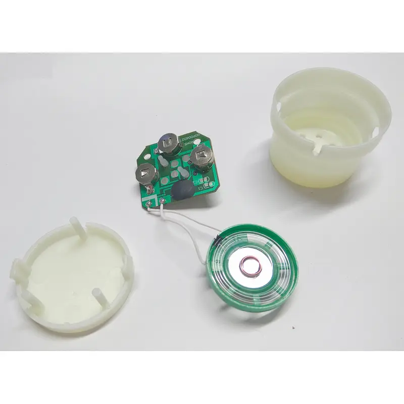 Small recording custom mini voice recorder toys sound module chips