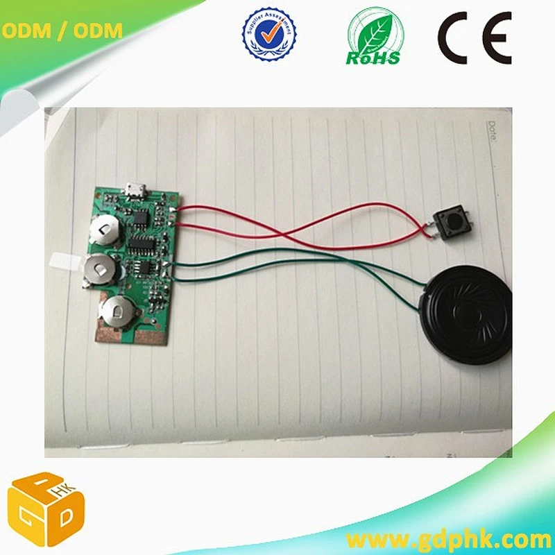 Speaker Type Custom USB Sound Chip