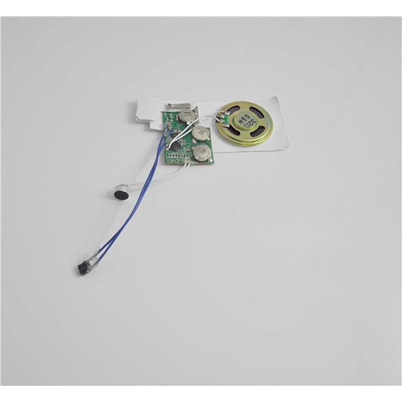 Sound Recorder/Voice Recordable Card Module greeting card
