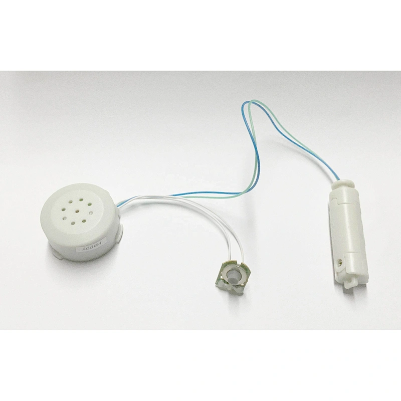 Voice recordable sound box recording sound chip for gift cards and toy