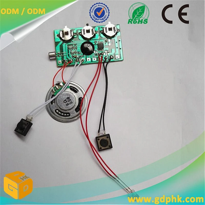 Motion Sensor with Recordable Musical Sound Card Chips