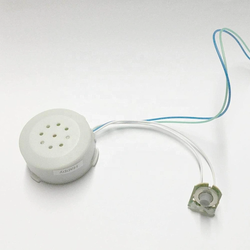 Press Button Recordable Music Box
