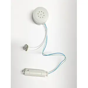 Sound mechanism programmable sound module for talking toy and doll