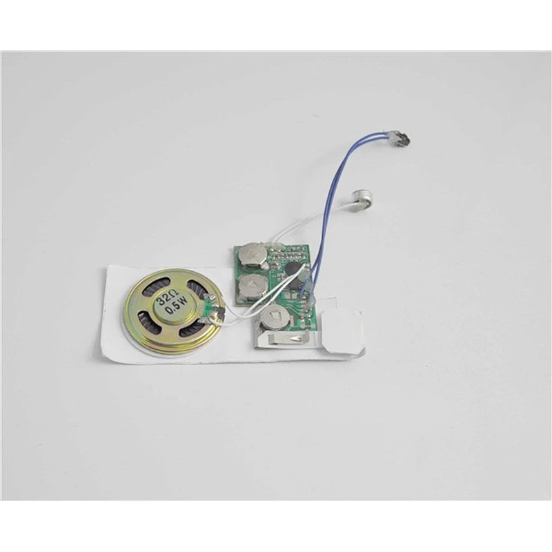 Sound Recorder/Voice Recordable Card Module greeting card