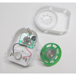 2020 Most popular New design music box sound chip voice recorder