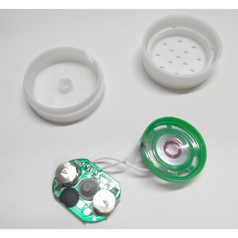 Electronic music box for plush toys cards recording sound mechanism