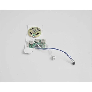 Sound Recorder/Voice Recordable Card Module greeting card