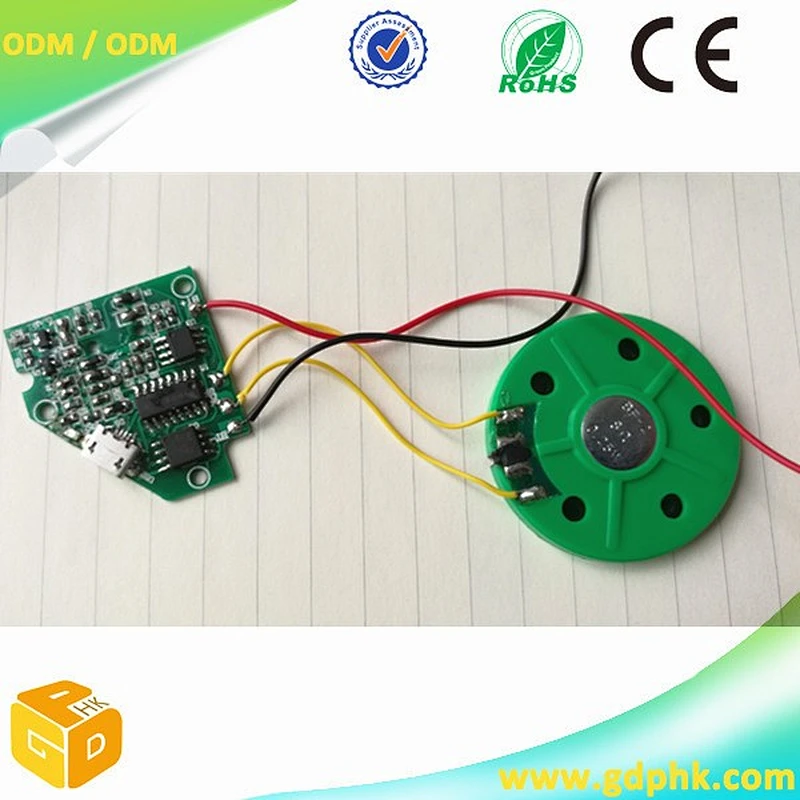 Speaker Type Custom USB Sound Chip