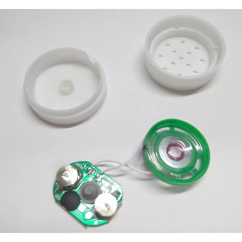 Programmable recordable music sound chips for books and stuffed toys