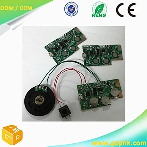 Speaker Type Custom USB Sound Chip