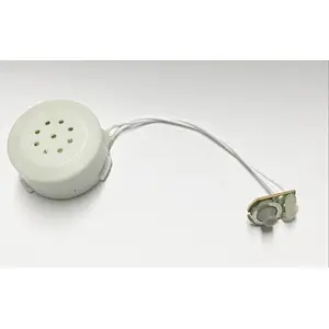 Pre-record music songs kids toy plastic sound box with flash led lights Button Record Voice Module Music Box for books