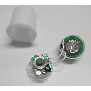 2020 CE ROHS certificated Christmas eletronic music chip/pre-recorded sound module for toys/gifts