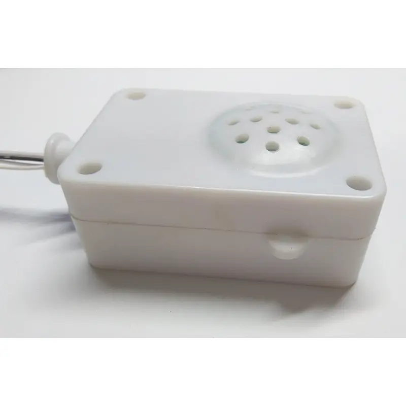 Recorder voice box electronic sound module box for toys and dolls