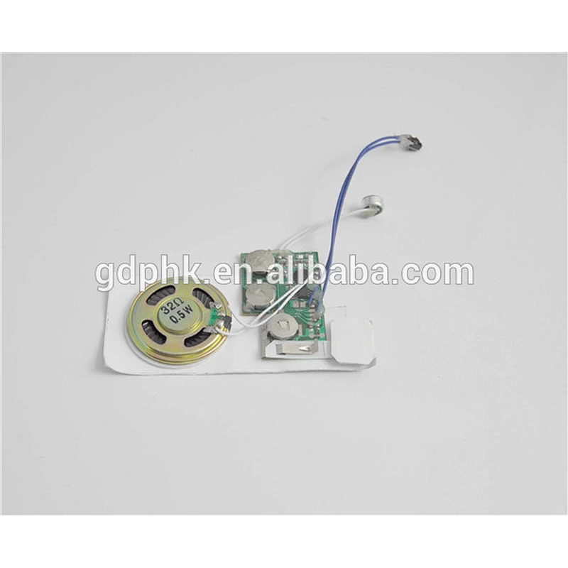 Greeting card sound module/Recordable sound chip