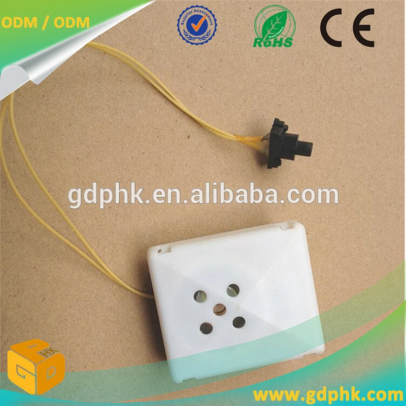 Programmable music sound chip for toys / hidden voice recording devices