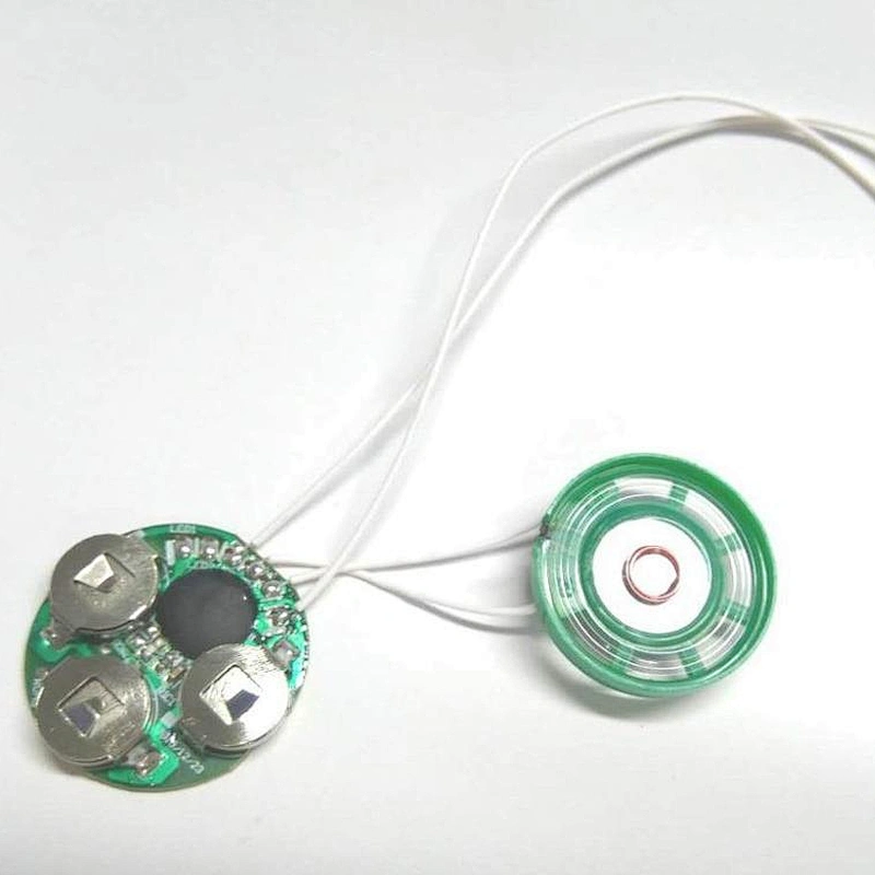 Hotsale Recorder Sound Recorder/Voice Recordable Card Module