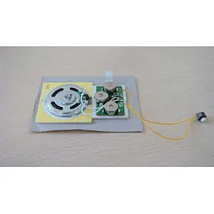 Multi-Electronic Book with many buttons sound module for children book