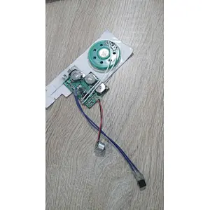 IC Chip on board for educational book and plush toy