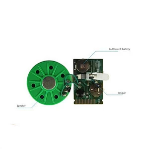 2020 High quality Hotsale Recorder Sound Recorder/Voice Recordable Card Module