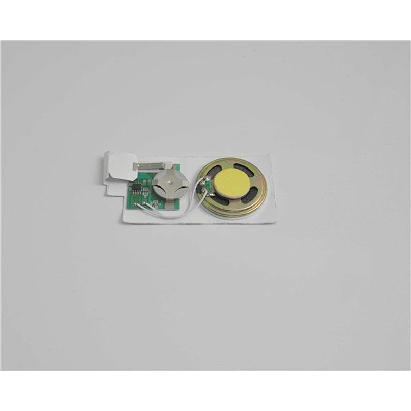 Sound recorder/Voice Recordable Card Module