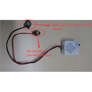 programable musical voice box recordable sound module for toys