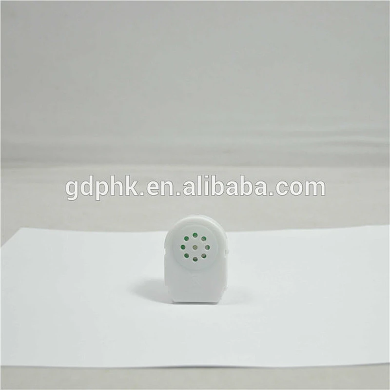 Plush toy digital voice recorder, press button sound module