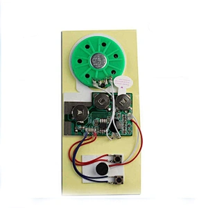 2020 High quality Hotsale Recorder Sound Recorder/Voice Recordable Card Module